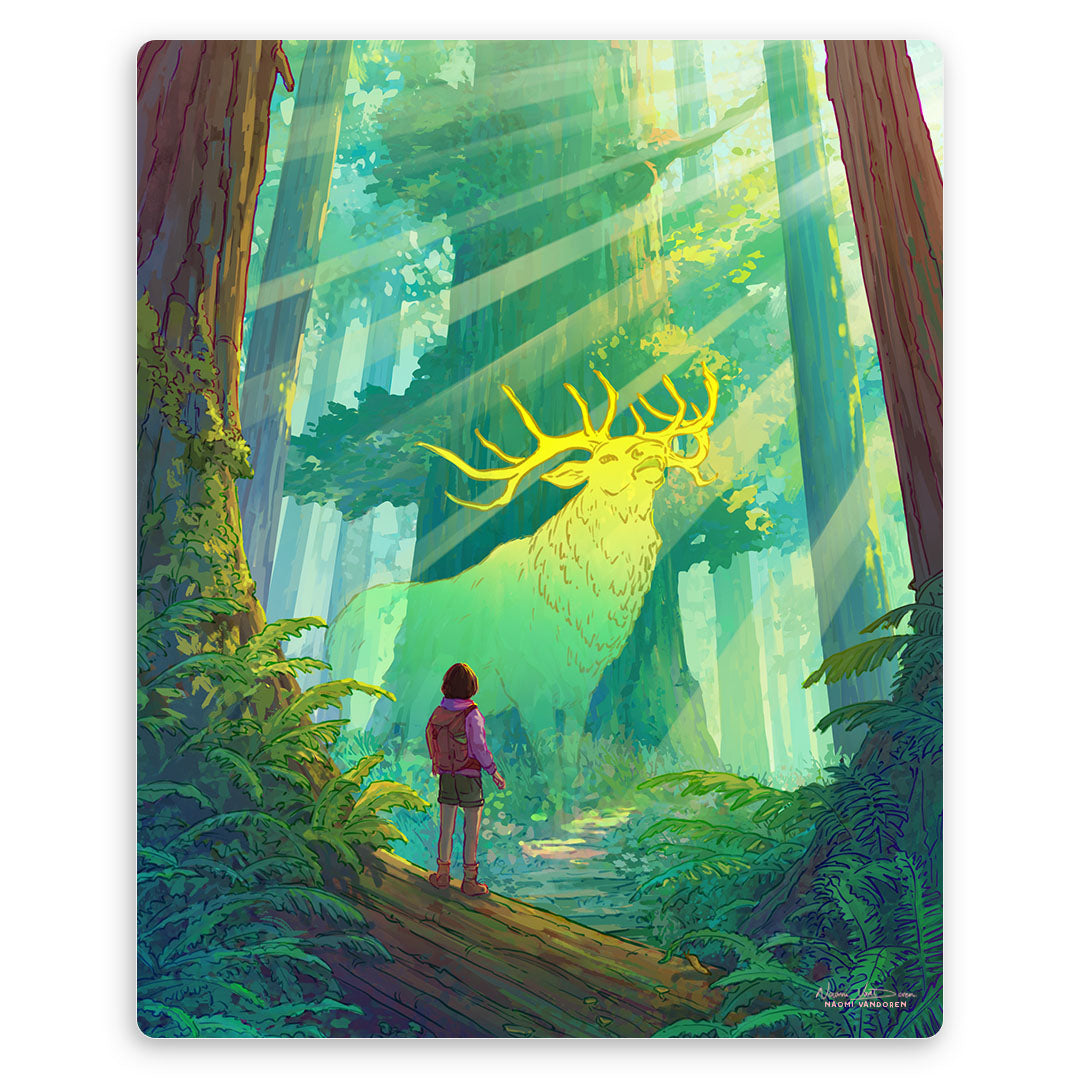 Redwood Explorer - Art Print
