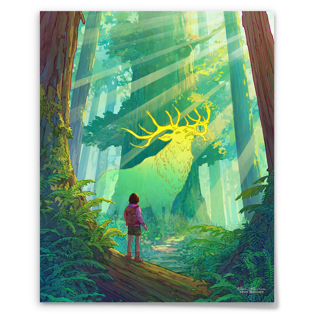 Redwood Explorer - Art Print